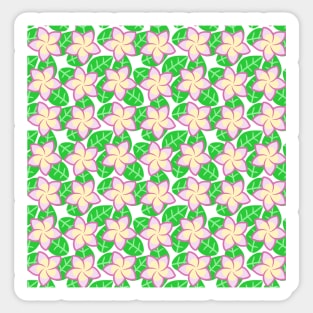 Pink Yellow Frangipani Flower Pattern Sticker